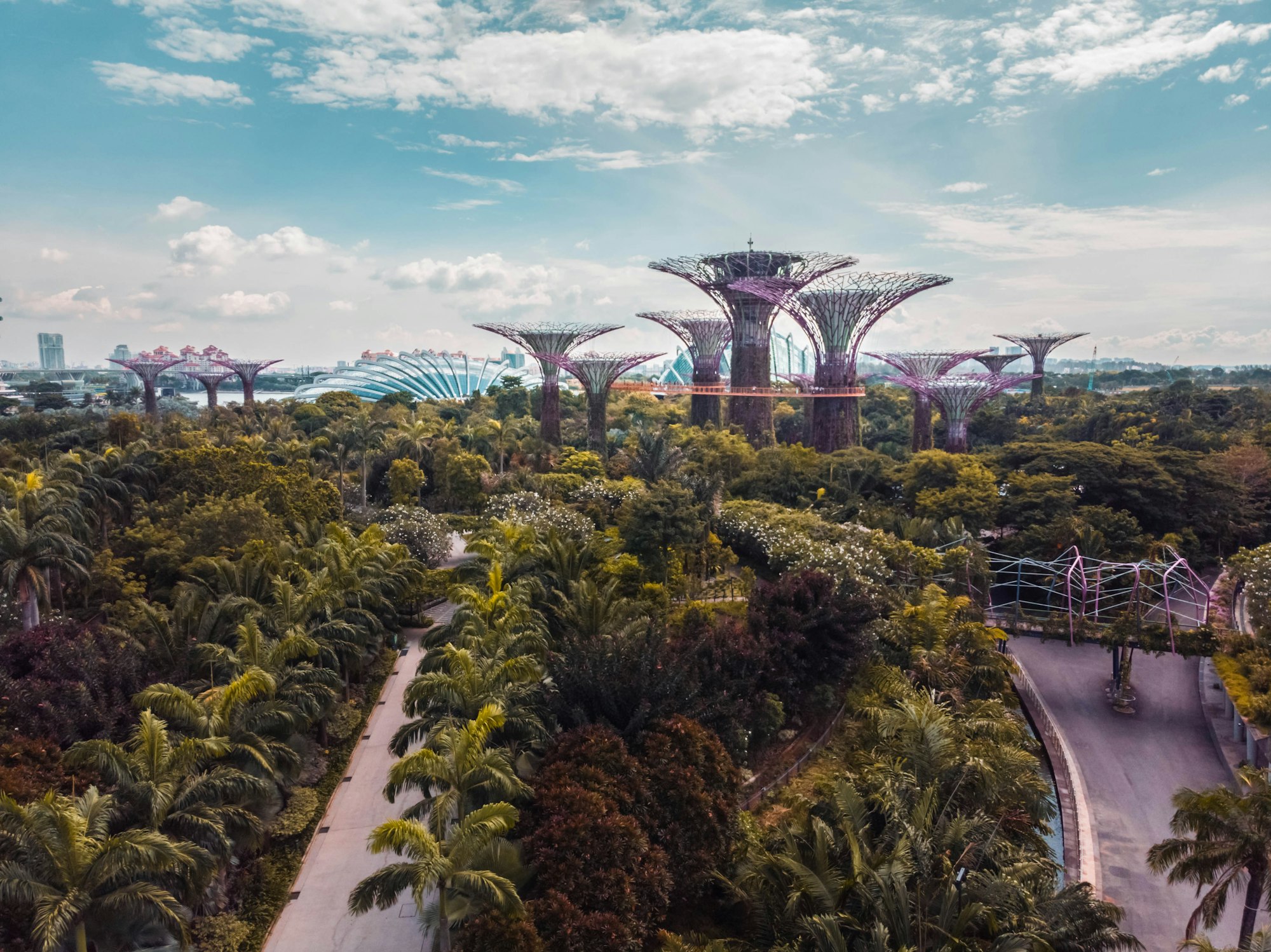 Aerial view of Gardens by the Bay, Singapore, surrounded by lush rainforest