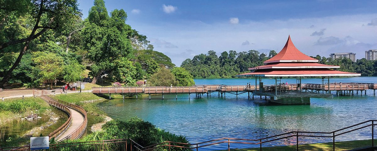 MacRitchie Reservoir boardwalk and pavilion, Singapore